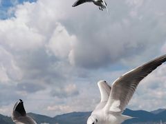-海埂大坝