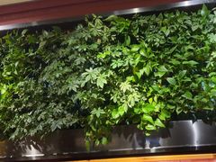 -巴奴毛肚火锅(广益哥伦布店)