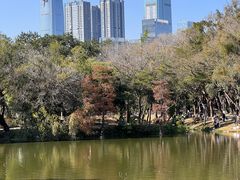 -人民公园(罗湖区)