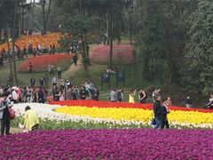 -保利石象湖景区