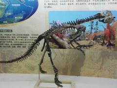 -嘉荫恐龙国家地质公园