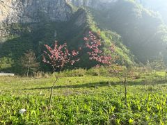 -鹿院坪生态旅游景区