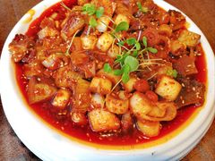 凉拌土鸡-樽宴酒楼·地道川菜·品质聚会·生日宴请