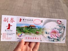 -曹州牡丹园