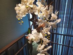 -山葵家·创意料理(临平银泰城店)