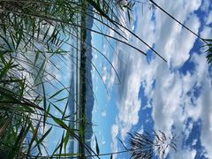 -野鸭湖国家湿地公园