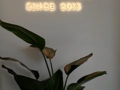 -树夏(金楠天街店)