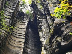 -梭布垭石林景区