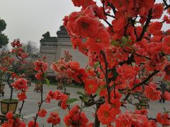 -荆川公园