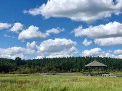 -塞罕坝国家级自然保护区