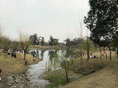 -两河城市森林公园