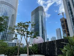 -深圳湾木棉花酒店