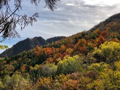 -阳台山自然风景区