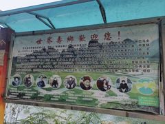 -长寿村