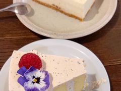 -dokidoki