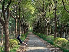 -嘉北郊野公园