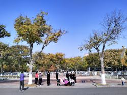 -玄武湖景区-情侣园游乐场