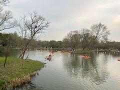 -西溪国家湿地公园