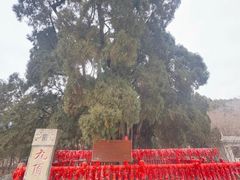 -四门塔风景区