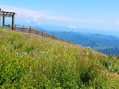 -白草畔自然风景区