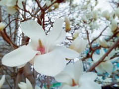 -北京信息科技大学(小营校区)