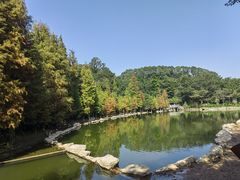 -广州市帽峰山景区