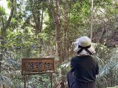 -东南悬空寺方广岩