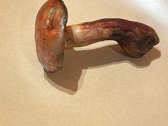 -滇野云南野生菌餐厅(陕西南路店)