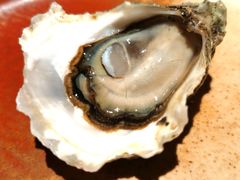 美国普及特湾熊本生蚝-Osteria Garden 生蚝花园餐厅(原进贤路店)