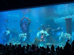 -哈尔滨波塞冬海底世界