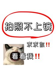 -樱花婚纱摄影