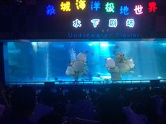 -泉城欧乐堡海洋极地世界