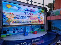 -成都浩海立方海洋公园