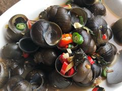 -椿记烧鹅(叠彩店)