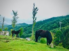 -硗碛藏寨·神木垒景区
