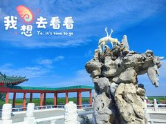 -黑龙江扎龙生态旅游区