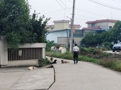 -乔伯凉面(白沙路店)