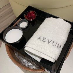 -奥斯芬欧系贵族SPA