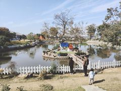 -鹅湖玫瑰文化园