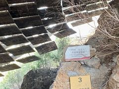 -周口店北京人遗址公园
