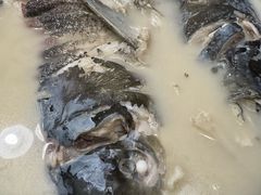 -丰乐餐厅·始于1999·本地老字号