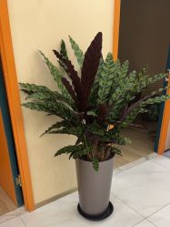 -美肤盾祛痘·问题肌头疗管理中心