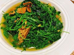酒香草头-新梅华(太仓万达店)