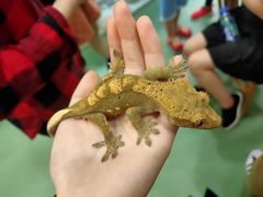 -藦茜花园宠物主题亲子互动体验馆(国顺东路店)
