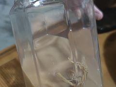 -果松木炭酸菜铜火锅·外婆参鸡汤