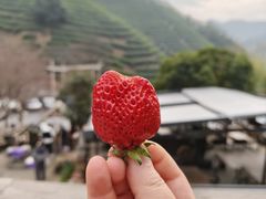 -心无尘茶餐馆(径山村店)
