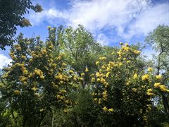 -鲤鱼山公园