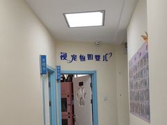 -全心全意连锁动物医院·微创中心·内科急重症·心脏专科(丰管路店)