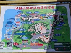 -西霞口神雕山野生动物世界