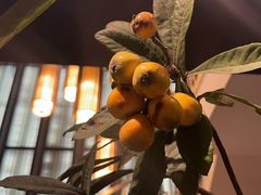 -漾亚·雍雅合鲜(桐梓林店)